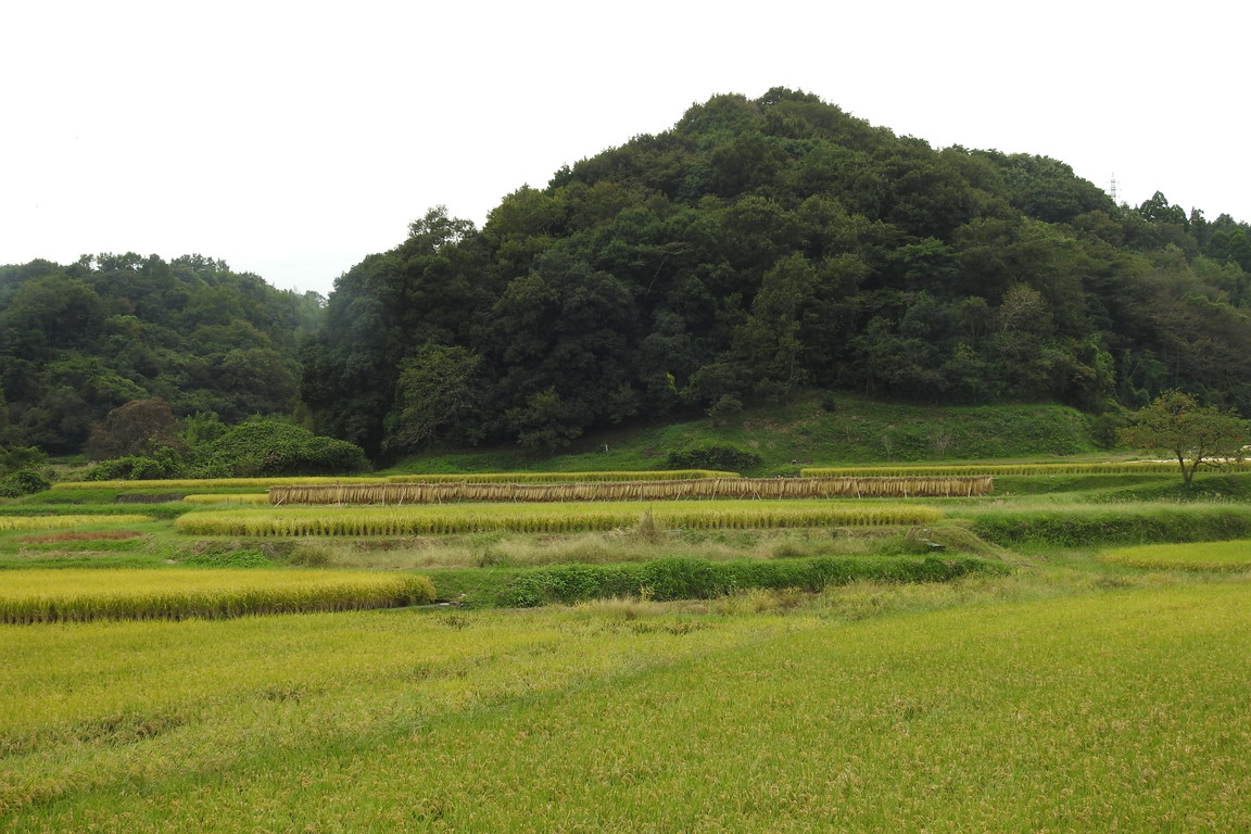 下判田立小野川